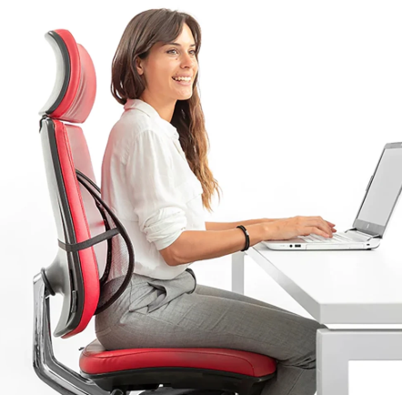 Respaldo Lumbar Ergonómico